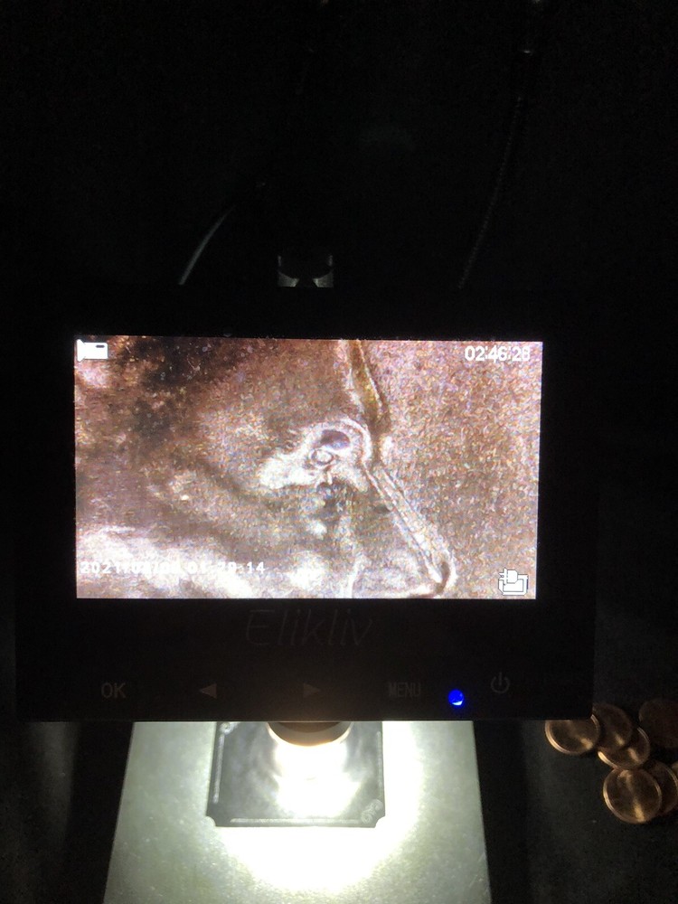 2023 Lincoln Penny Error #3