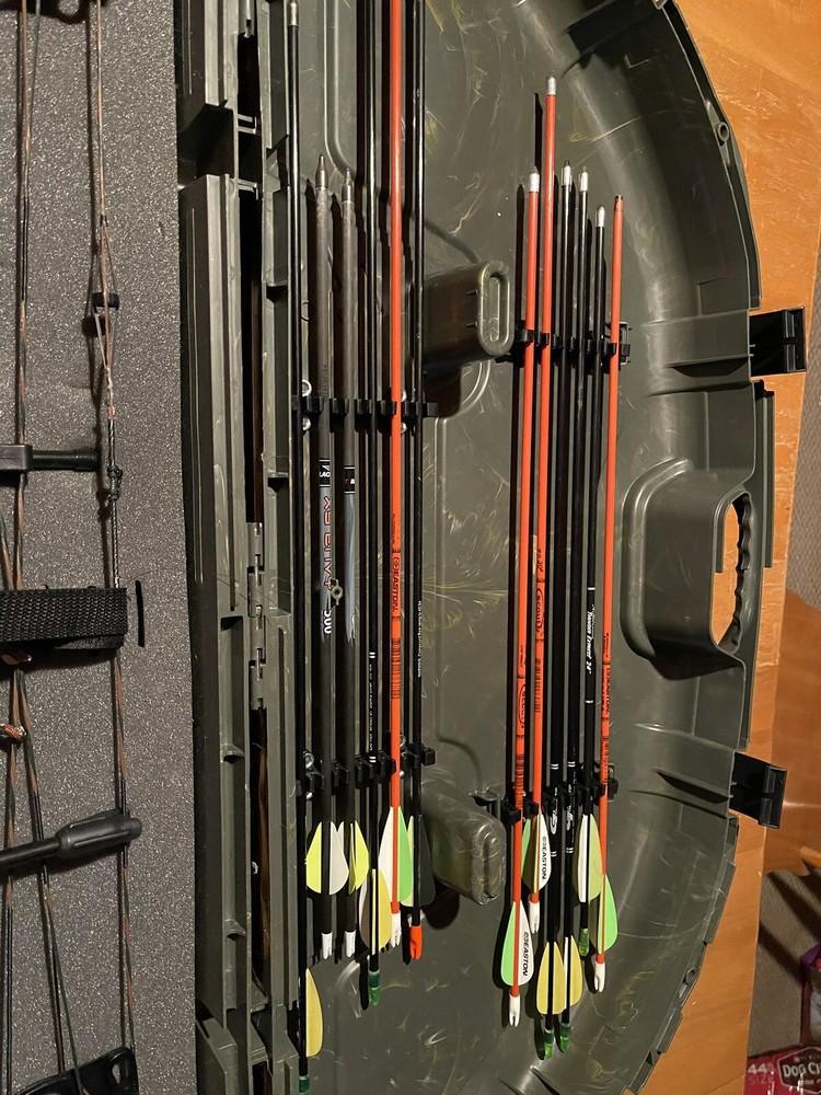 bow and arrow set hunting