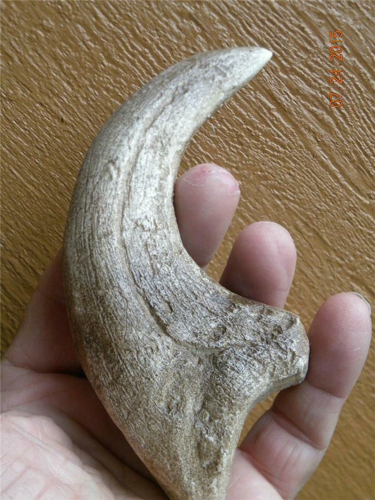 HUGE  Deinonychus velociraptor claw replica 7" REPLICA
