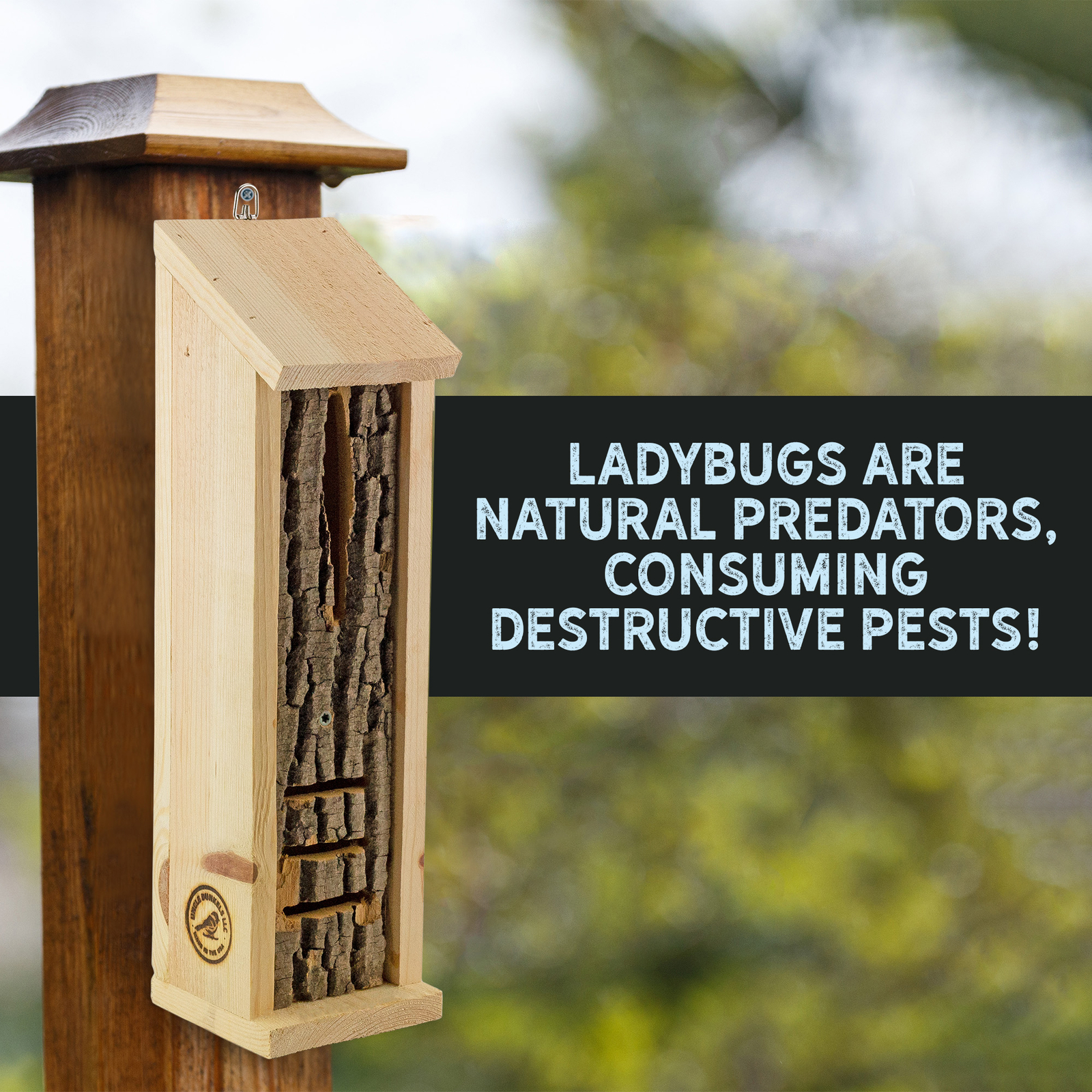 Rustic Handmade Ladybug House; Backyard Insect Hotel and Shelter