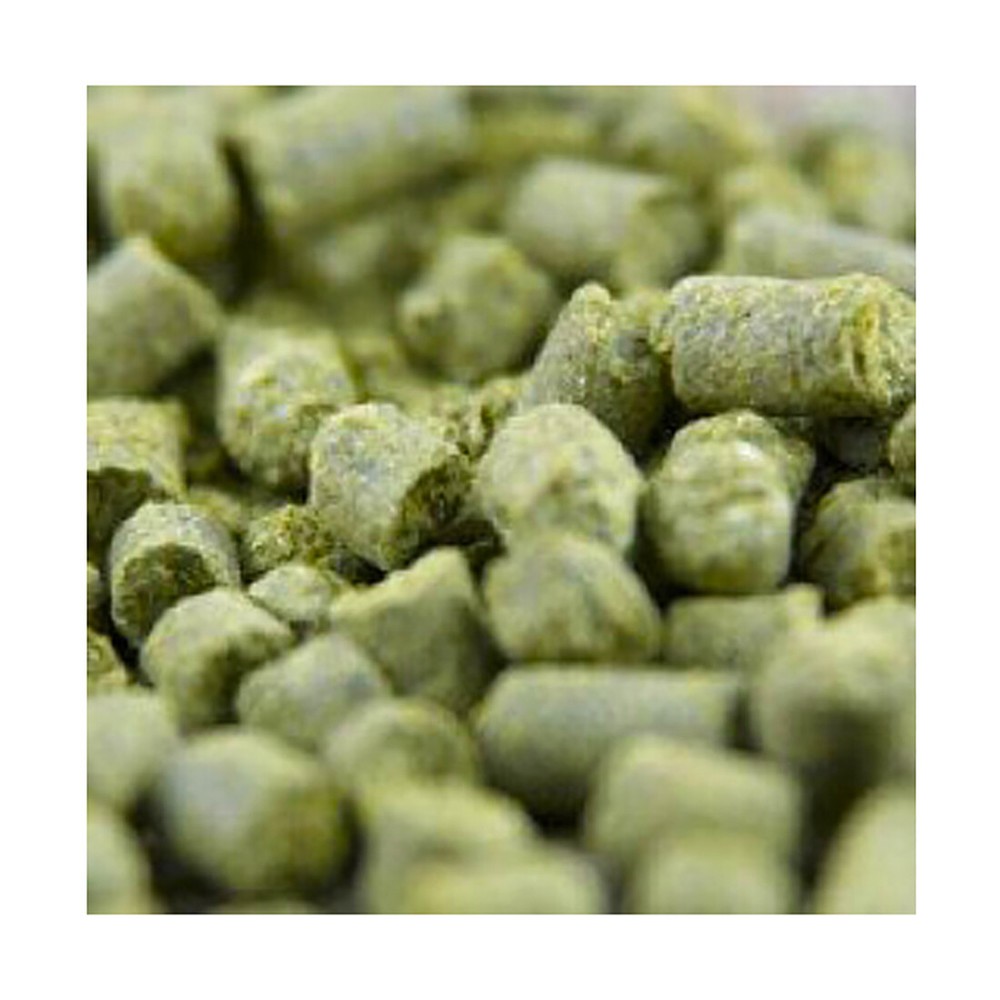 Citra Hops 8oz Pellet