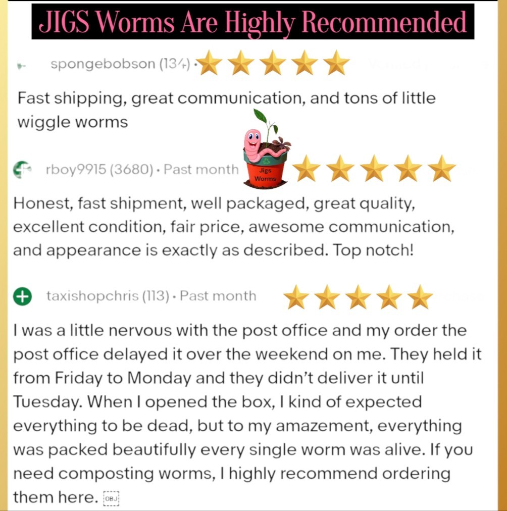 (JIGS) LIVE Red Wiggler Composting Worm Mix Approx 1,000 (1 LB) Voracious Eaters