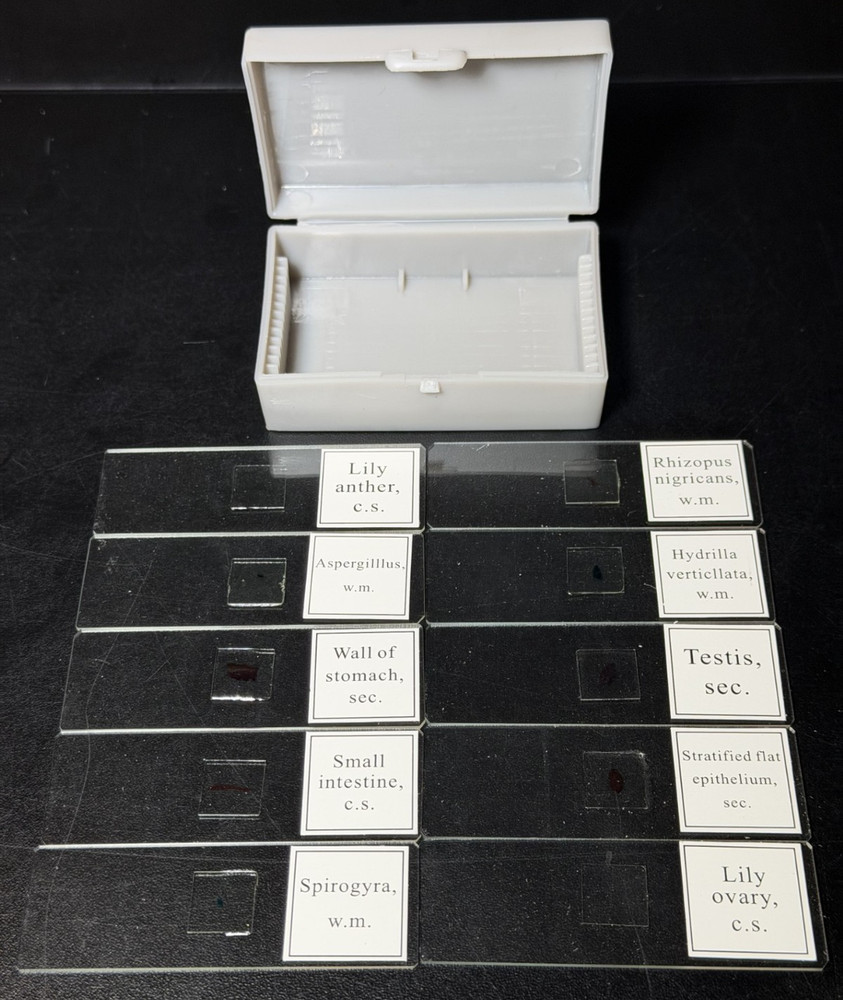 10 PC/Set Biology Sample Specimens Microscope Prepared Specimens Slides Student