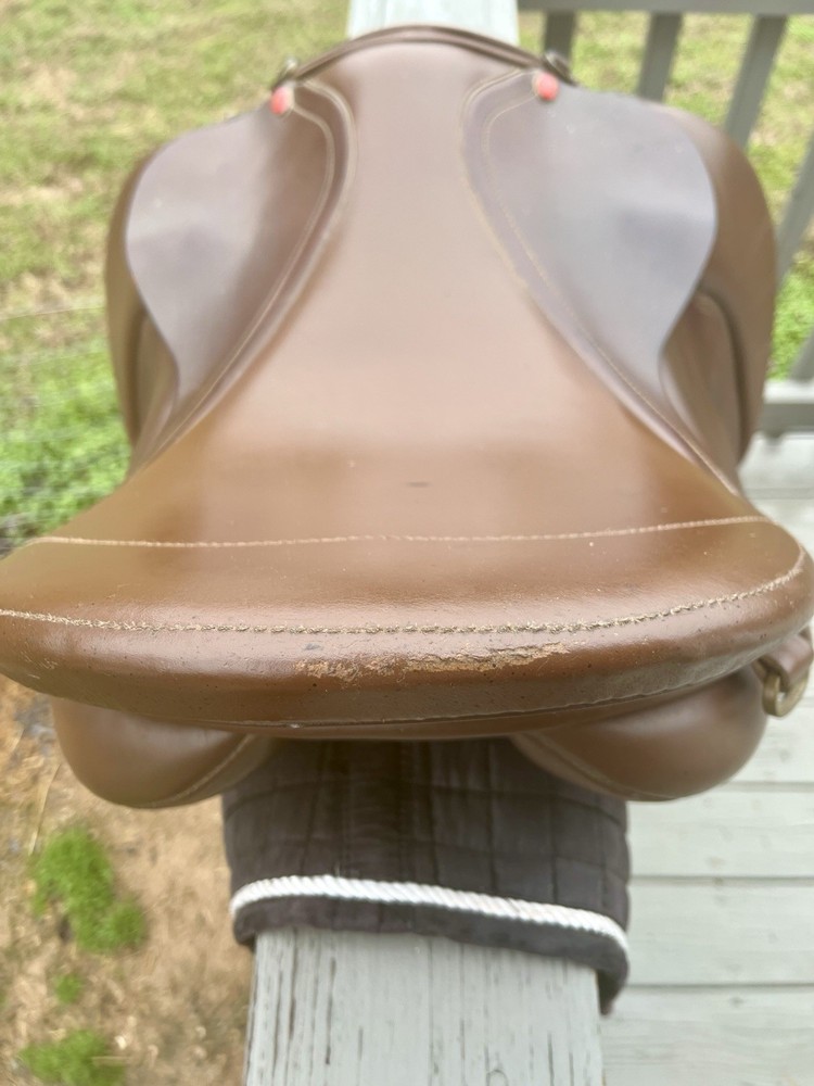 Duett Companion Foxhunter