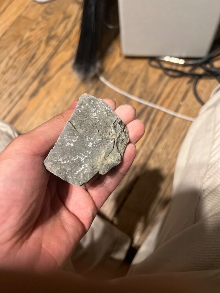 fossils other