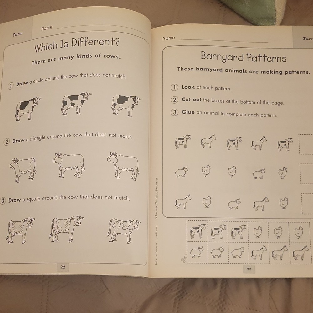 Scholastic Follow the Directions... and Learn! Grades K-1 Educational Workbook