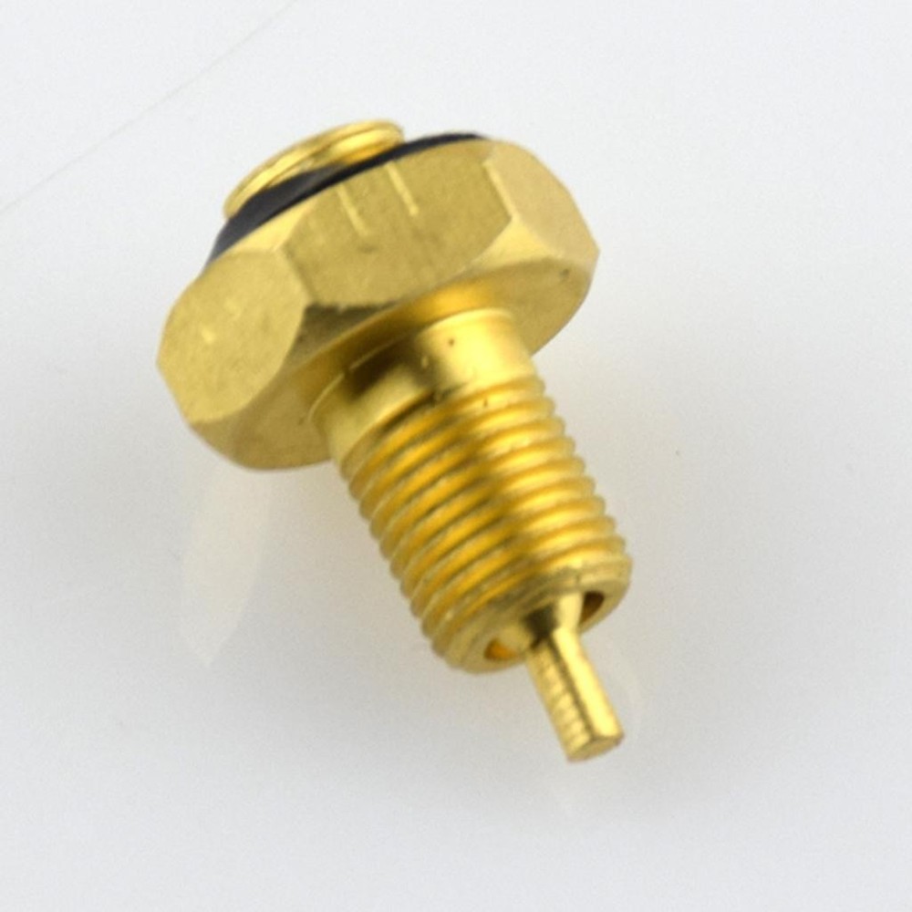 Internal Brass Tire Stem Adapter