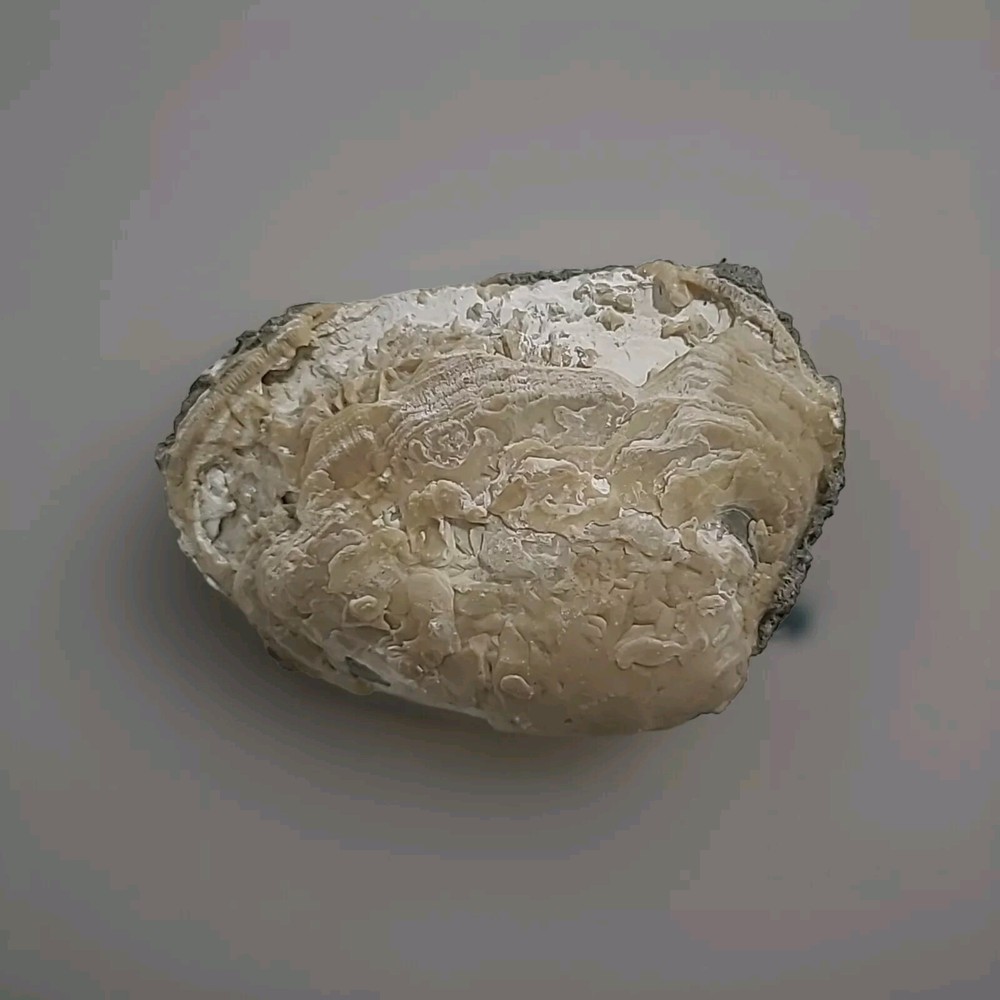 5" X 3" Geode 1 Lb 12 Oz
