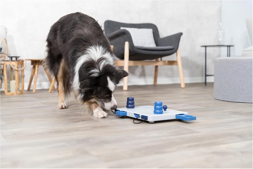 Move-2-Win Dog Puzzle Toy – Level 3 Advanced Interactive Treat Game Challenge