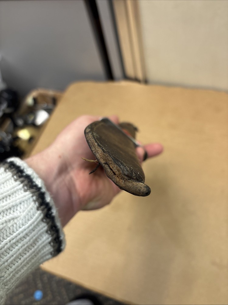 Schrade Walden Fixed Blade Knife With Sheath