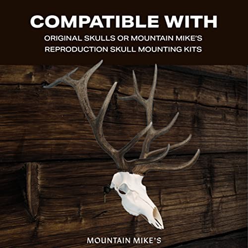 Elk Positioner Wall Bracket