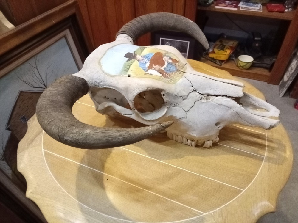 Charles E. Palmer Signed and Painted Bison Skull