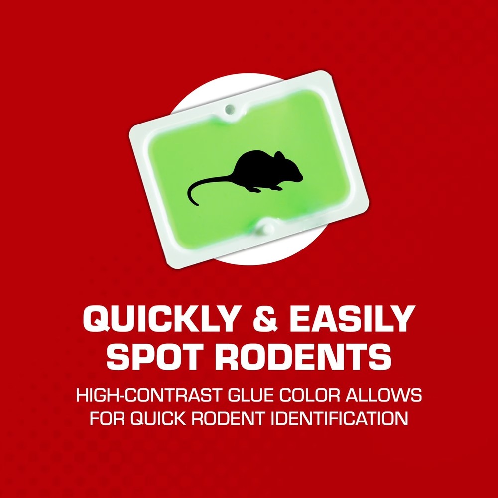 Tomcat Super Hold Glue Traps Mouse Size