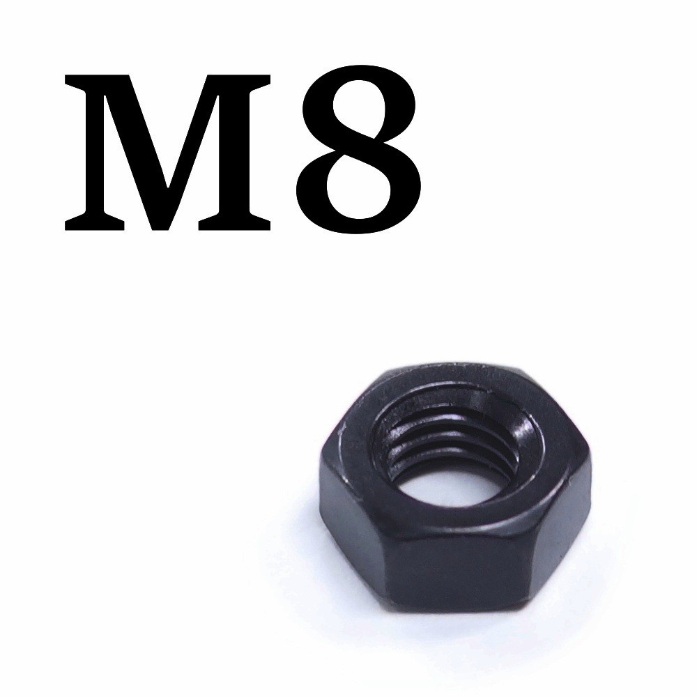 M8 Black Stainless Steel Hex Nuts (2 Types, 2 pcs)