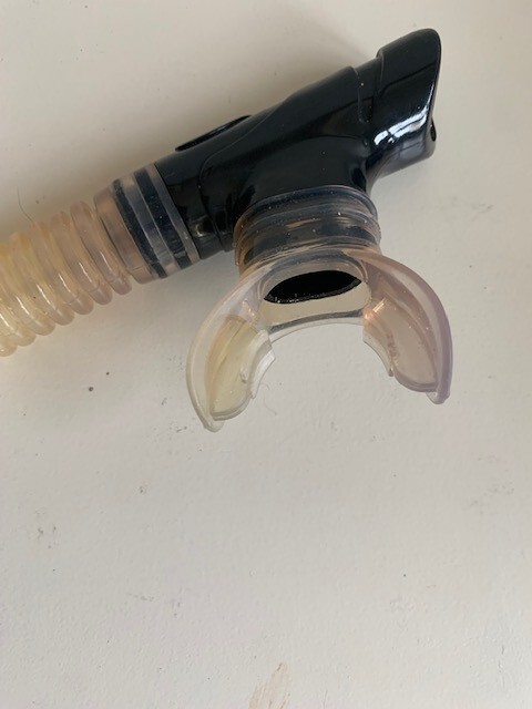 EDGE Brand Snorkel