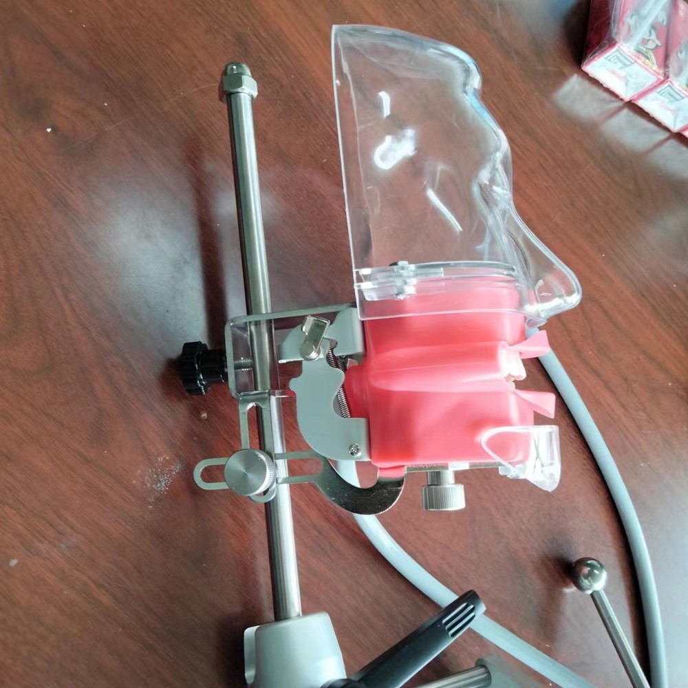 Dental Simulator Phantom Head Model Dental Preparation Support Display