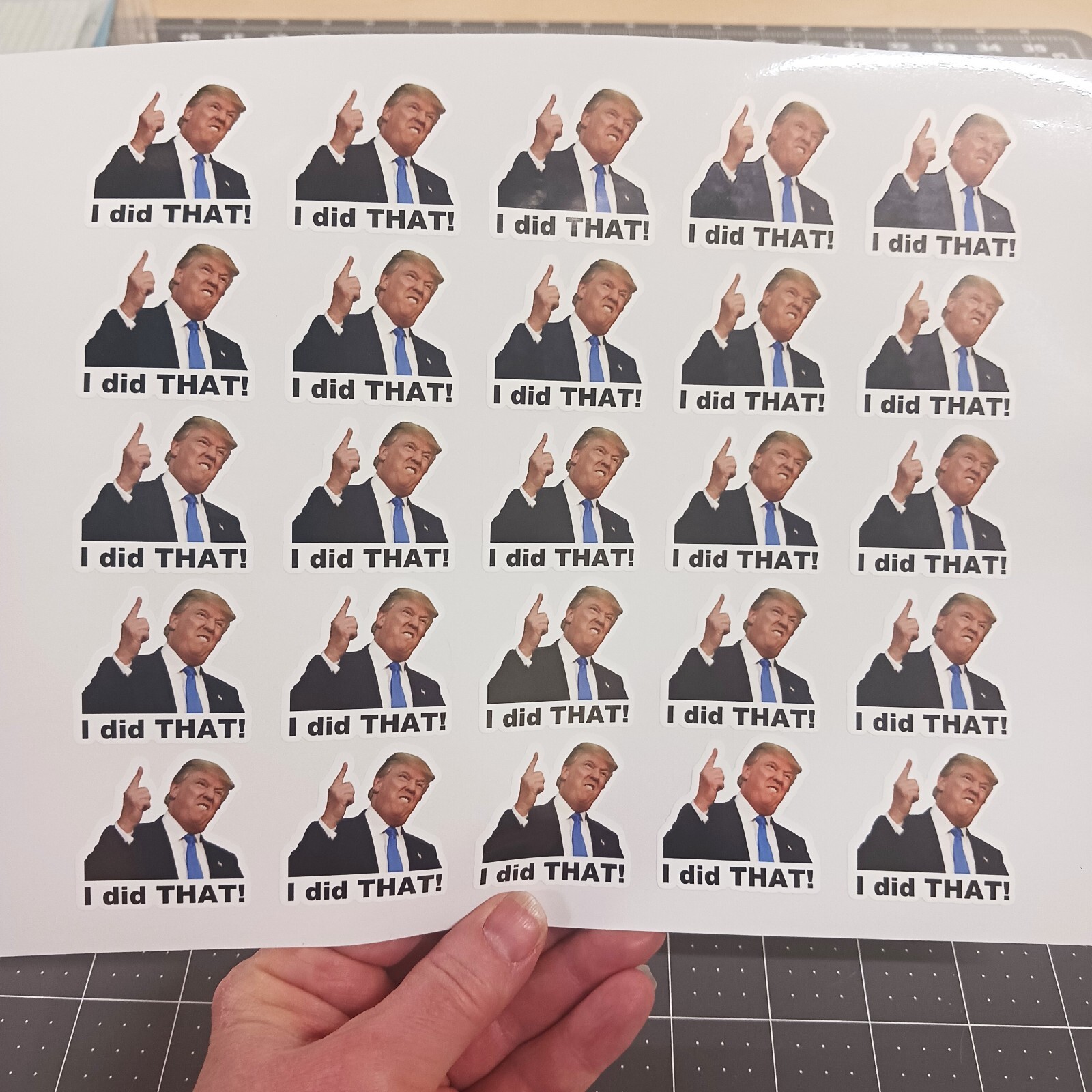 I did THAT - Trump Sticker Anti-Trump political meme stickers