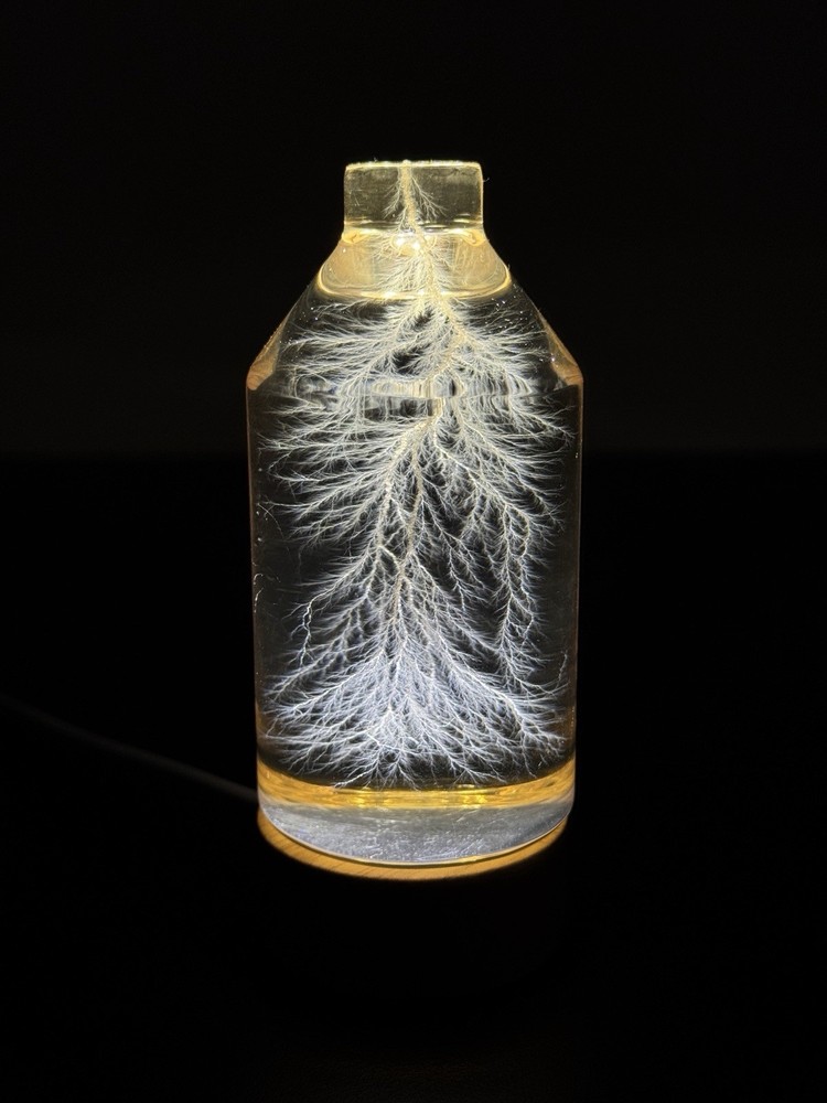Lichtenberg Figure 2x3 Bottled Lightning