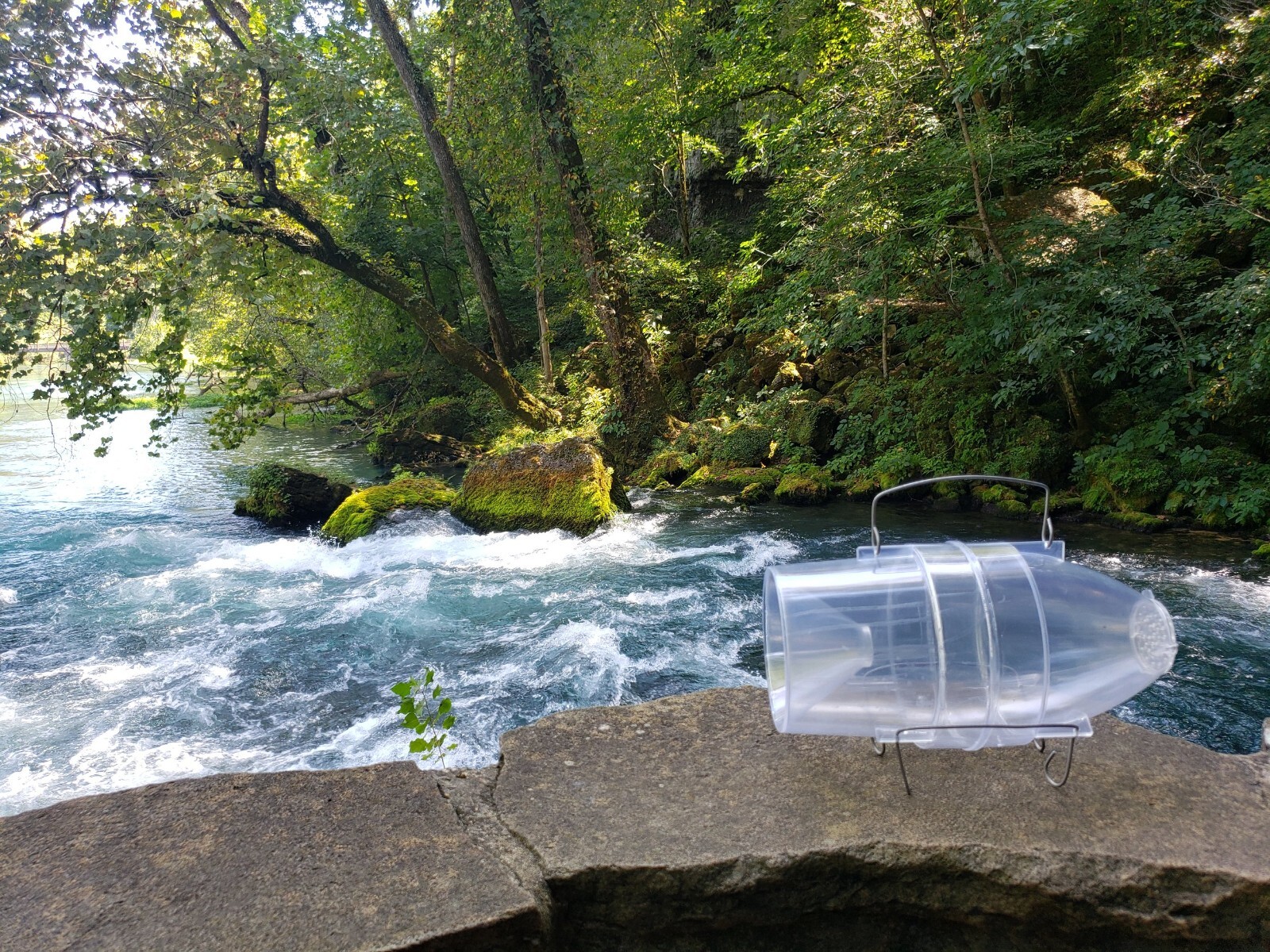 Clear Plastic minnow trap with free shipping in the USA