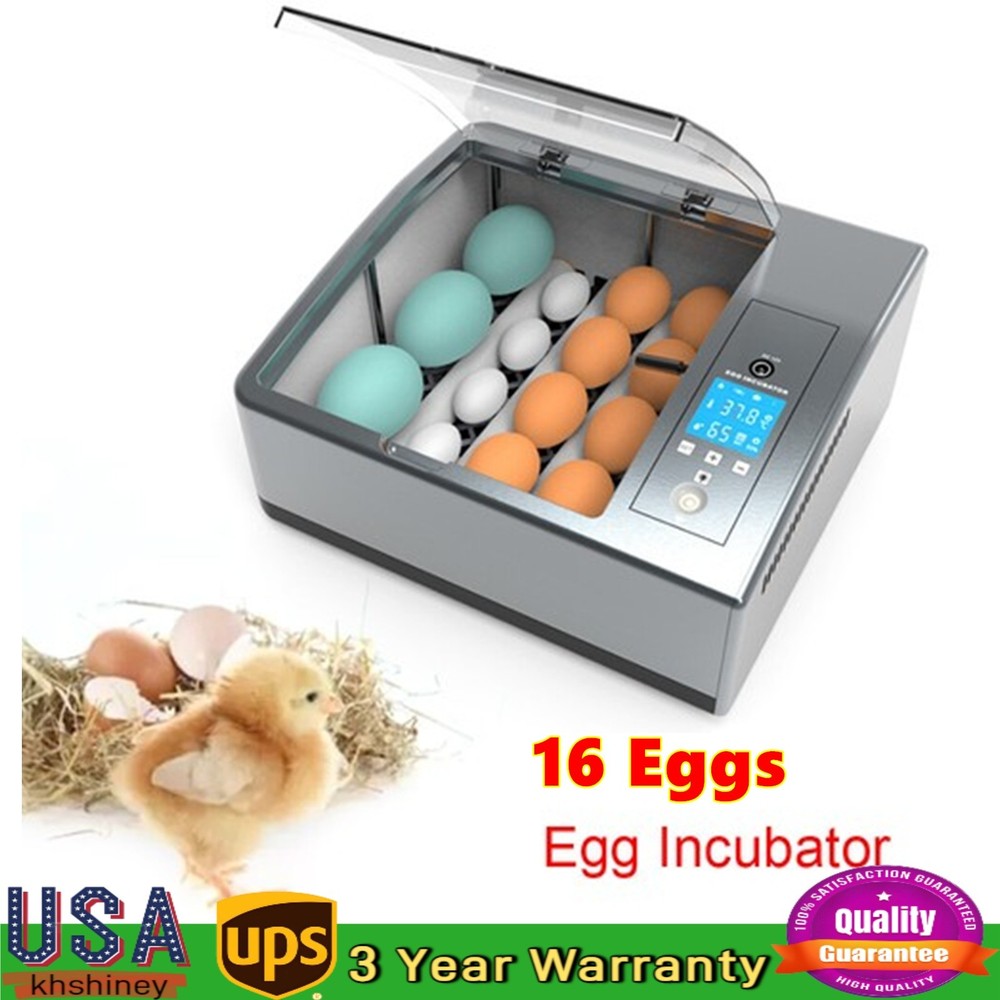 ✅16 Eggs Egg Incubator for Hatching Egg Full Automatic Turning Duck Chicken Egg