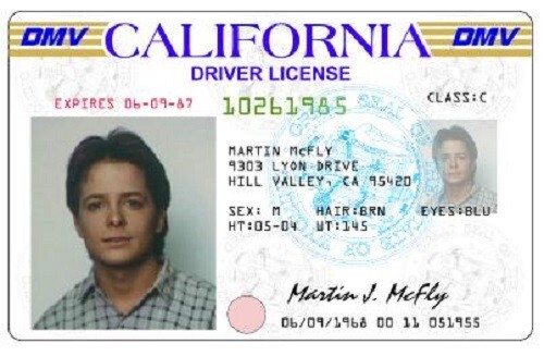 1985 Back To The Future Drivers License Prop Marty McFly Michael J. Fox ⏲
