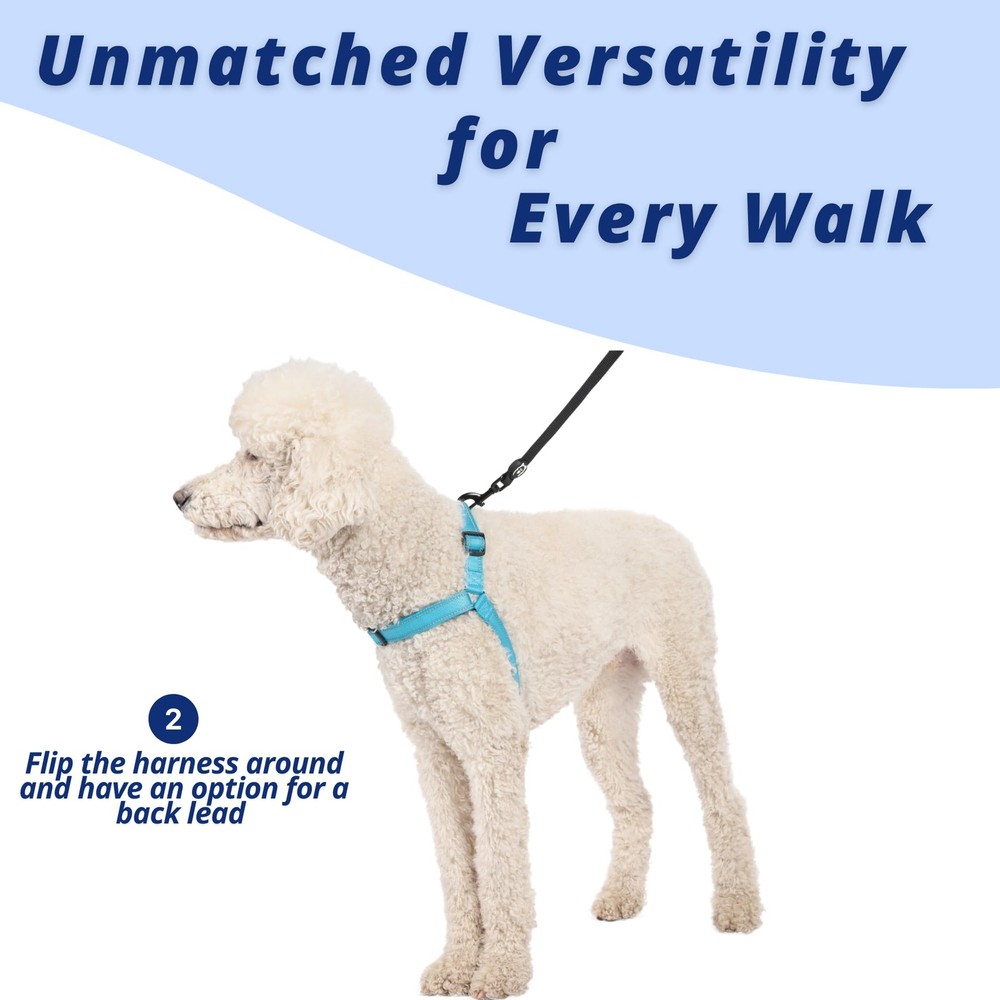 Dream Walk Pro Dog Harness No-Pull Adjustable Halter Stop Pulling ICY Lilac M