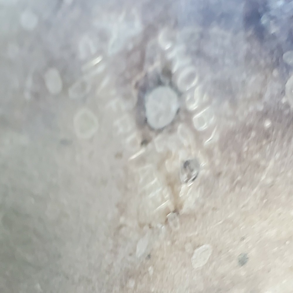 Silver Plated Coffee Tea Pot Only Serving Hot Drinks Shabby Victorian Crosby