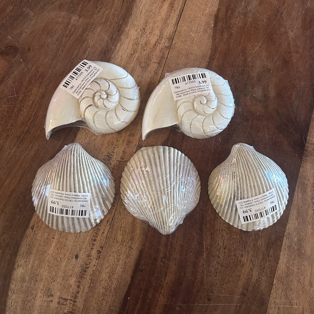 Inspirational Message Shells - New - Sealed
