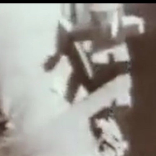 Vietnam War Era Wooden Elephant Puzzle Observed on US GI Helmets JAPAN #1