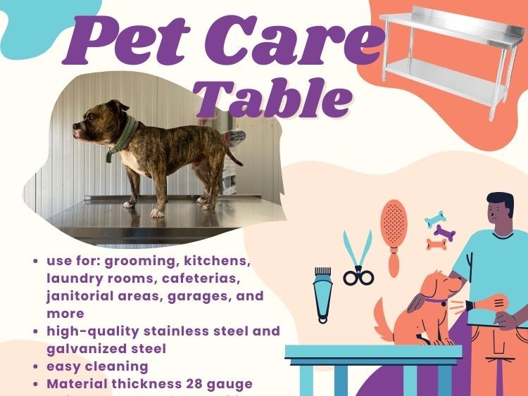 Stainless Steel Pet Care GroomingTable with Undershelf 24"x48" Heavy Duty 401