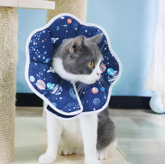 New  Cat Recovery Collar Soft Cone E-Collar Alternative Adjustable Medium