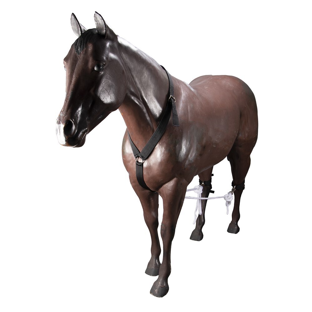 Stc Nylon Horse Breeding Hobbles