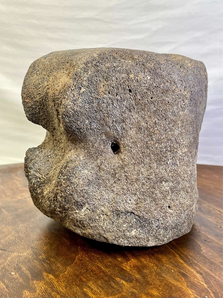 Authentic Fossilized Whale Vertebrae Bone - Unique Textured Display Piece
