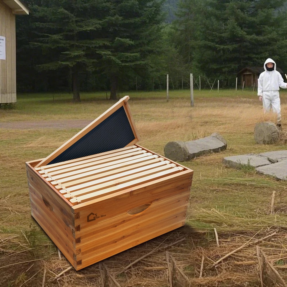 Langstroth 10 Frame Bee Hive Boxes Starter Kit Beehive for Beekeeping Supplies
