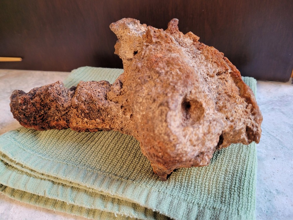 Unique Unknown rock formation (Alien Head Shape) 3lbs