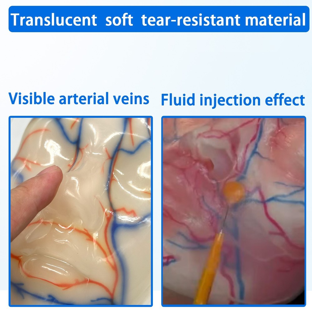 Multi-Functional Silicone Face Injection Model for Filler, Suture & Thread Train