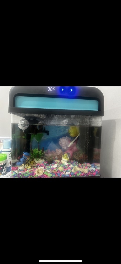 Aquarium fish tank