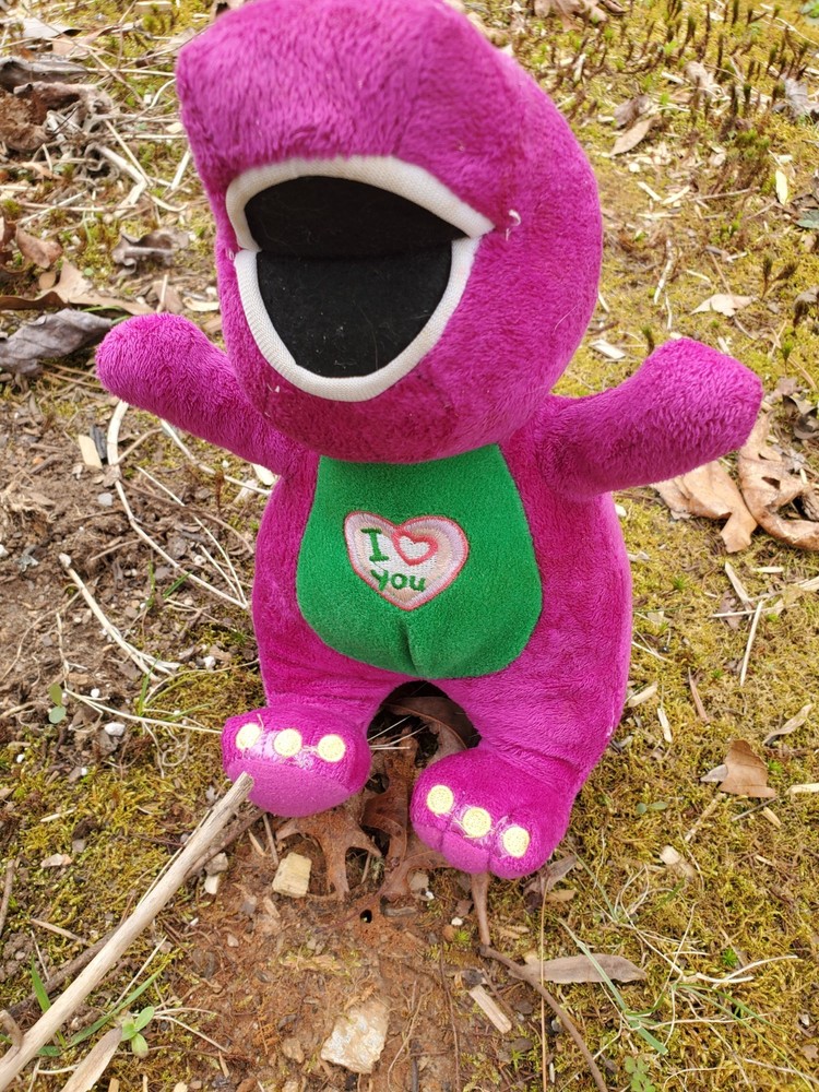 Haunted Stuffed Animal