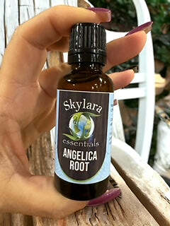 Angelica Root Essential Oil - 100% Natural