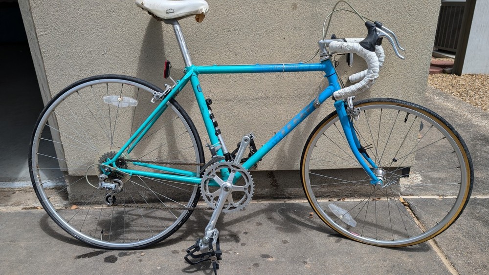 1986 Georgena Terry Despatch
