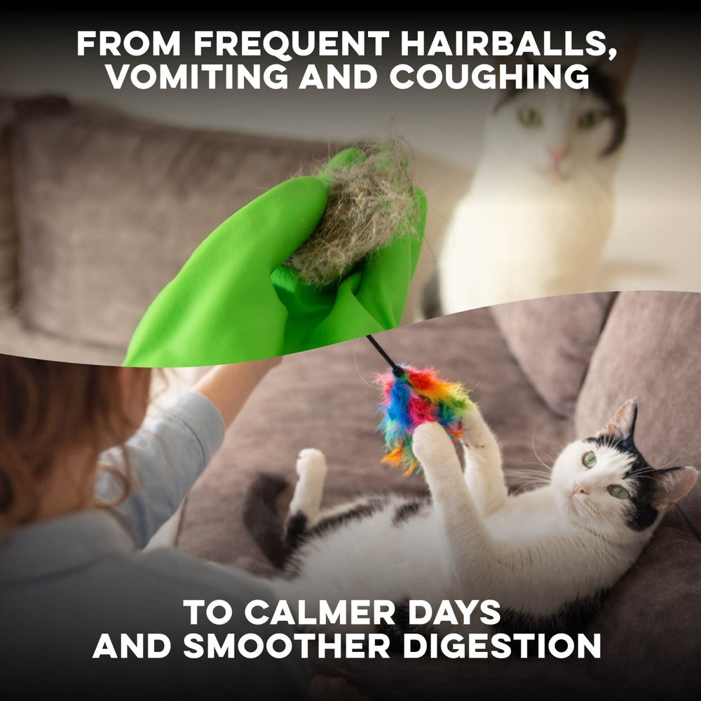 Hairball B-Gone for Cats