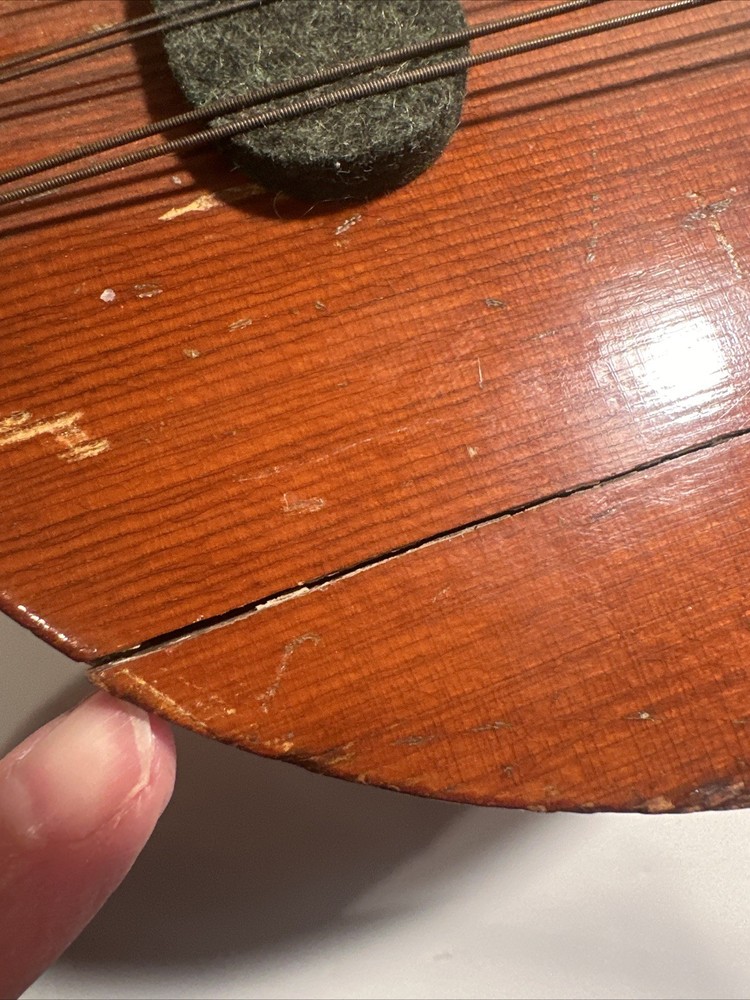 VINTAGE Old MANDOLIN Strings Antique