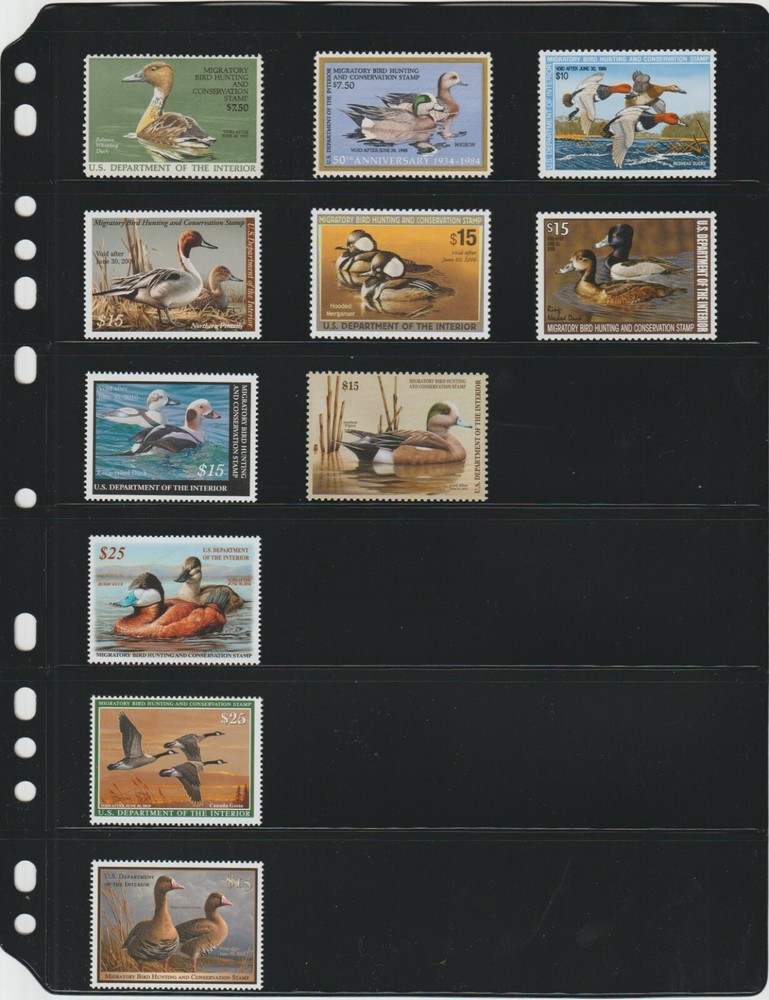 ANCHOR 20 Stock Pages 6S (6-Rows) Sheets - Black sheets, FREE Priority SHIPPING