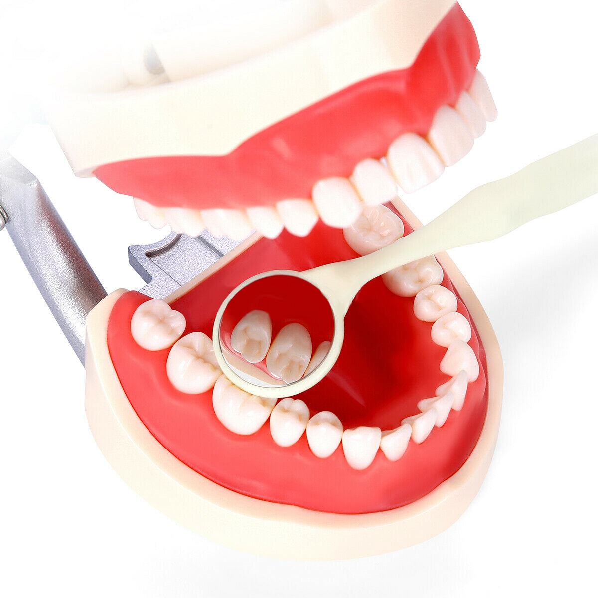 Anti-fog Oral Double Sides Oral Mirrors Dental Mouth Mirror Reflector w Handle