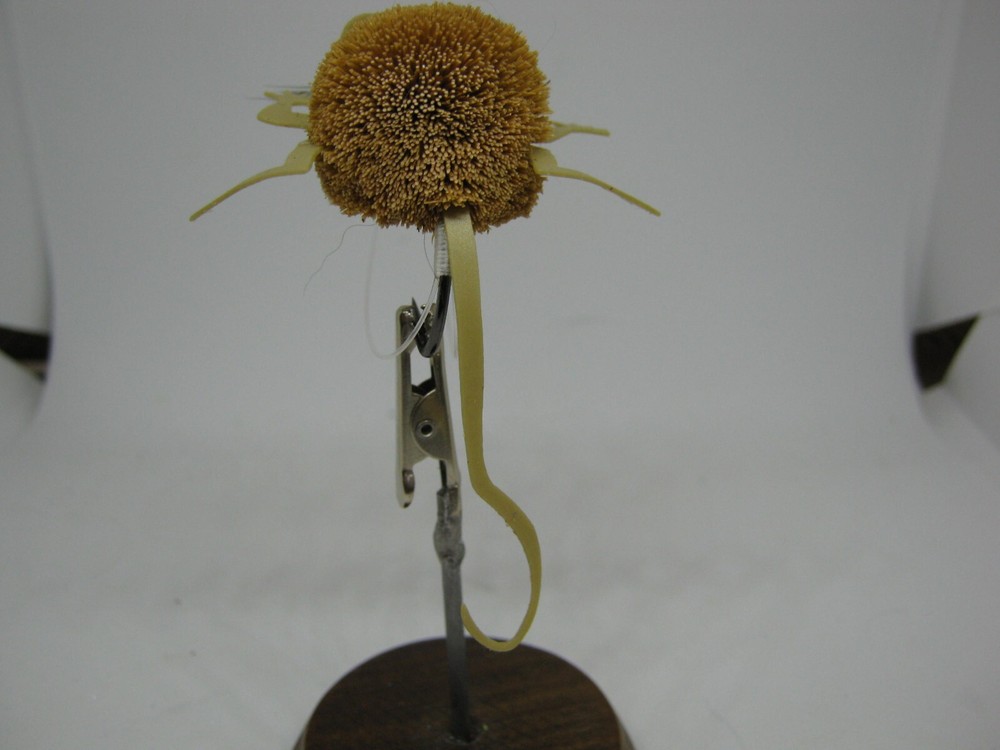 DEERHAIR 4 LEGGED MOUSE PATTERN