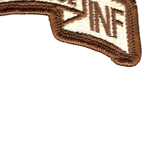 24th LRS Infantry Desert Patch
