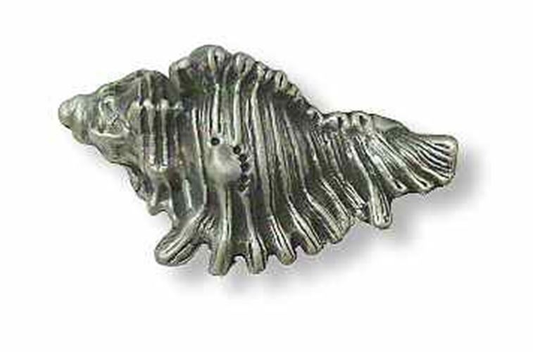 2" Shell Knob Brushed Satin Pewter