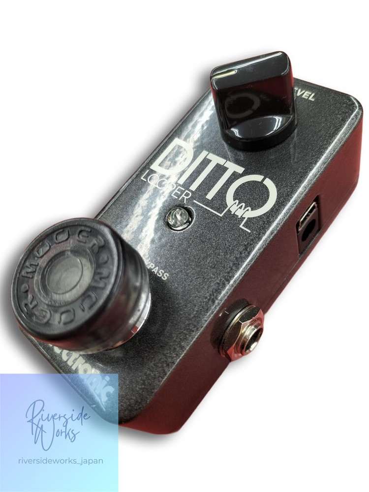 TC Electronic Ditto Looper Effects Pedal Compact Looping JP