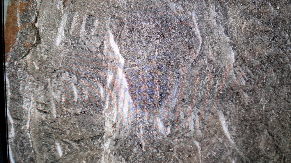 STRIKE ERROR? EXTRA WEIGHT?WEAK FEATURES? ALL MINT ERRORS? 2011 D US DIME #603