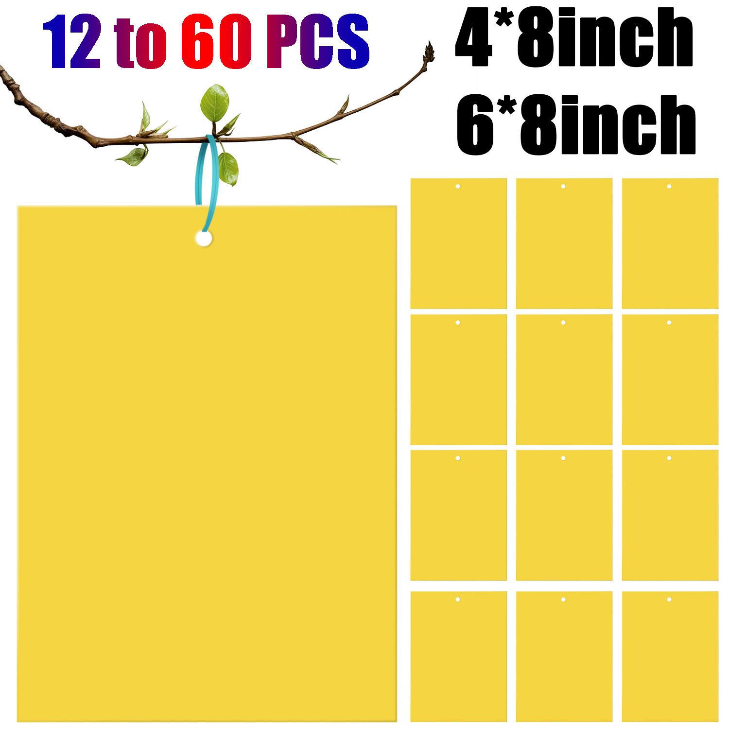 60 PCS Sticky Fly Traps- Gnat&Insect Catcher with Hanging Ropes|Strong Glue Trap